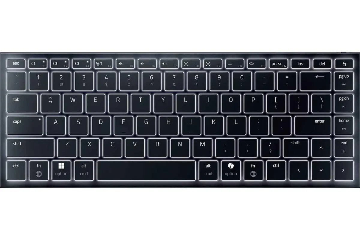 Razer Joro